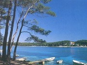 Lussino